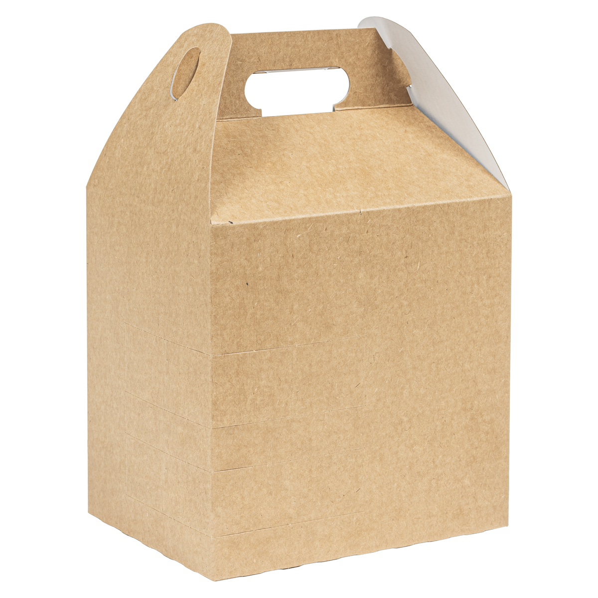 Tall Carry Pack w/ Handles | Brown Kraft | Recyclable & Compostable