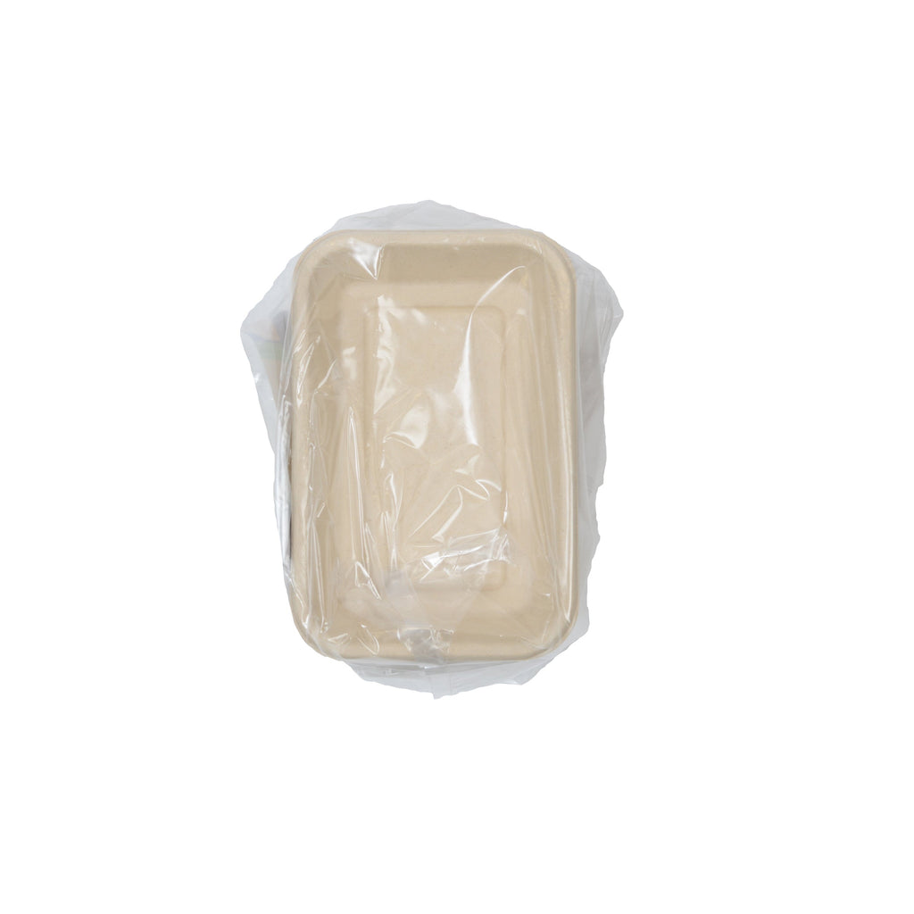 Compostable rectangular container with a clear plastic cover on a white background