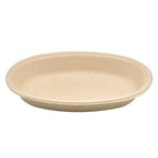 Oval compostable bowl on a white background