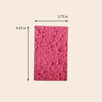 Pink sponge with dimensions labeled on a beige background