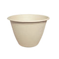 Compostable fiber bowl on a white background