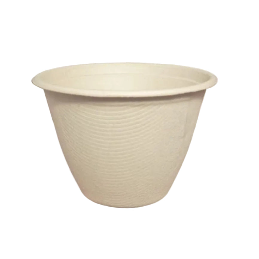 Compostable fiber bowl on a white background