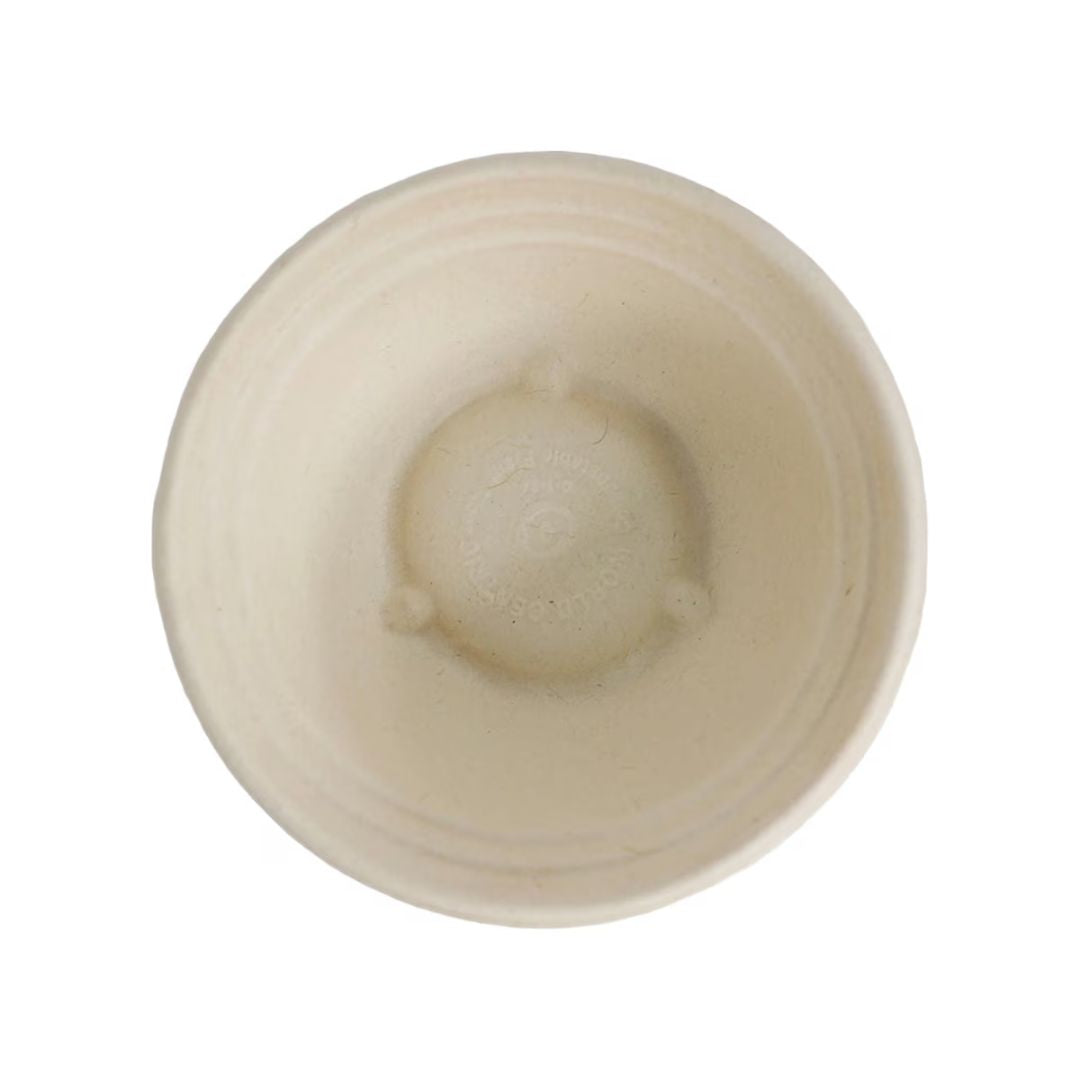 View of the inside of a fiber bowl on a white background.