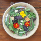 Compostable bowl with clear lid for salad with flowers in a clear container on a wooden surface