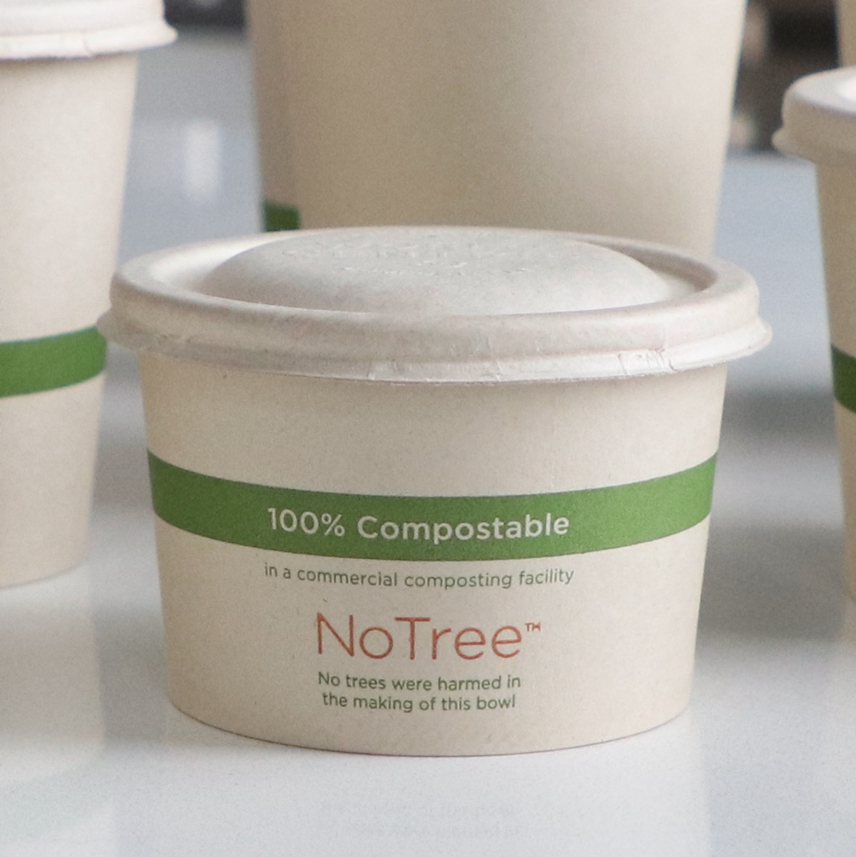 Paper food container with lid