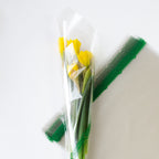 12" x 12" Compostable Cellophane Sheets | Clear