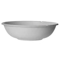 Compostable white bowl on a white background