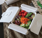 Vanguard™ Folia™ (II) Renewable & Compostable Take-Out Container | 6 x 5.4 x 2.5