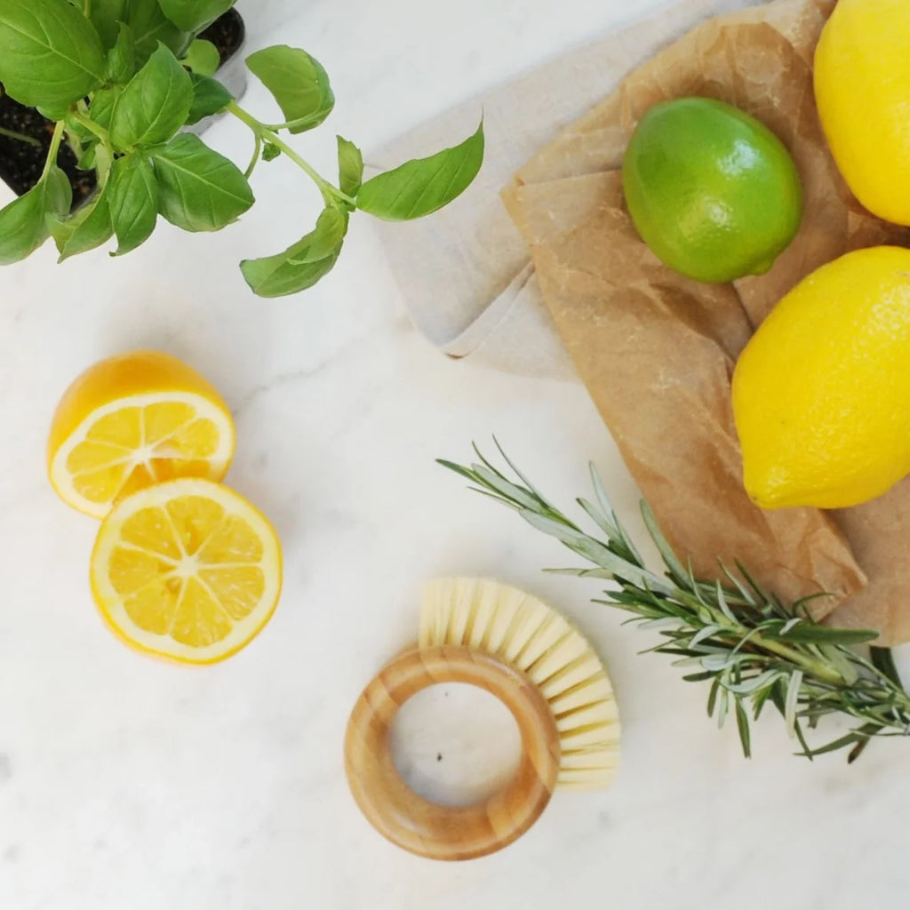 Fruit & Veggie Brush | Reusable | Bamboo Handle w/Recycled Bristles