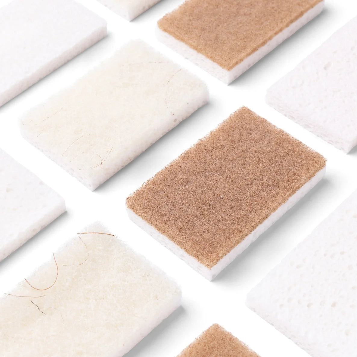 Collection of sponges in beige and white on a white background
