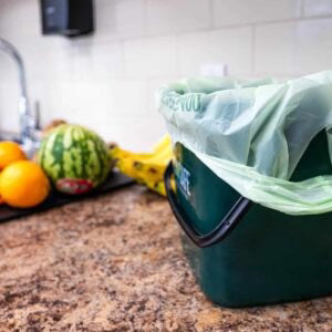 Green compost bin with a green bag on a kitchen counter with fruits and vegetables.
