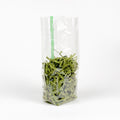 4.5" x 3.25" x 13" Compostable Cellophane Bags | Clear