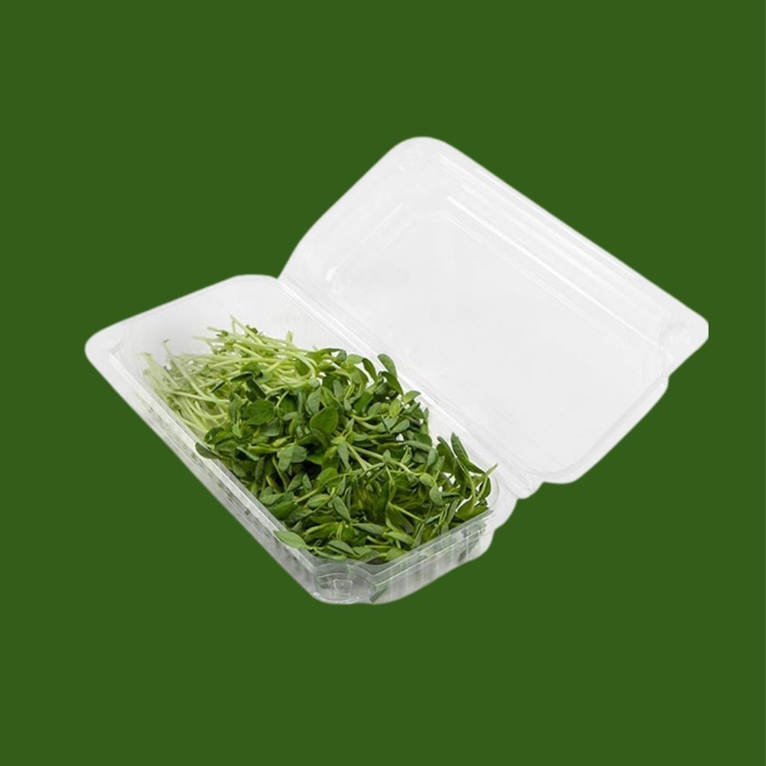 Container of green leafy microgreens on a green background