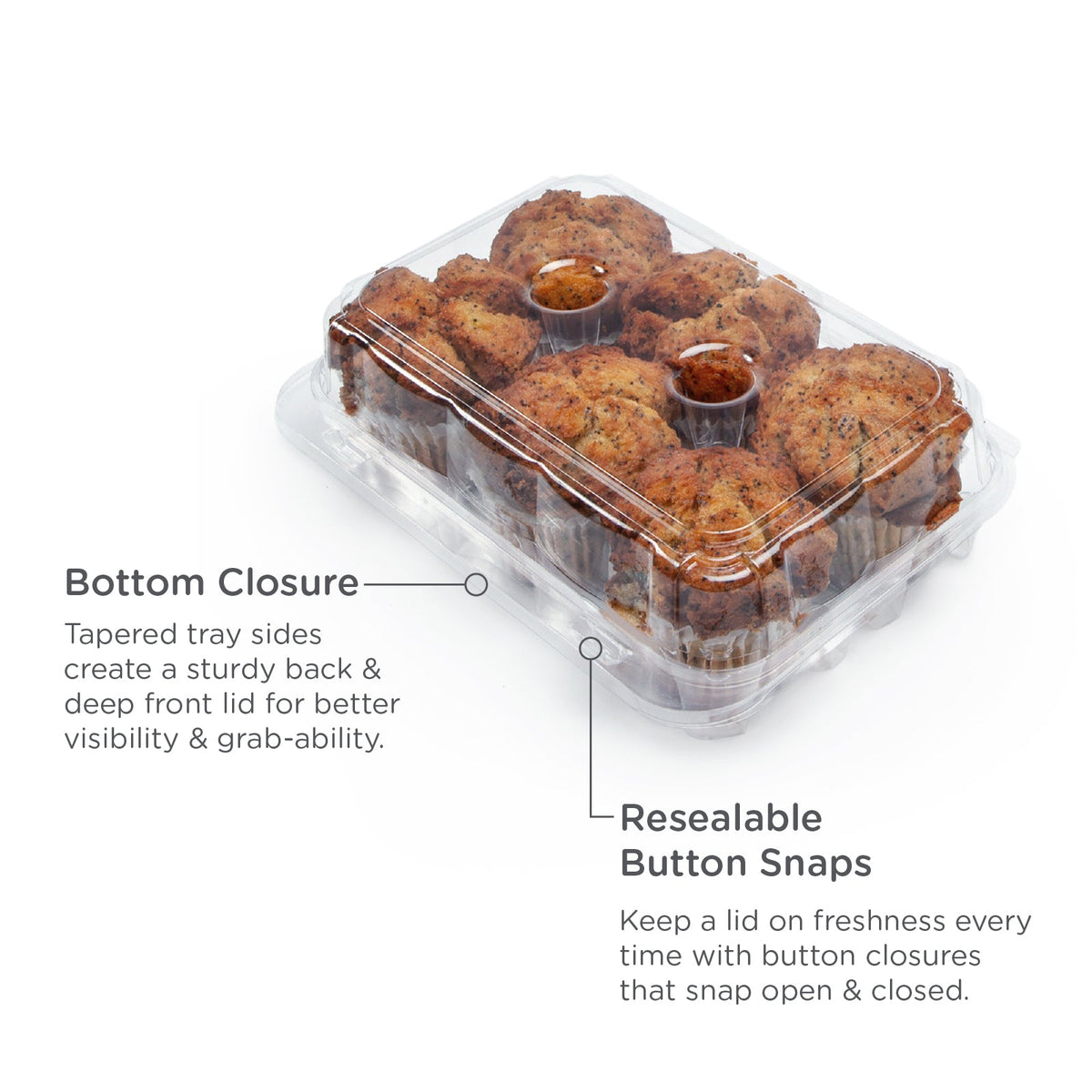 Clear compostable plastic Cupcake container on a white background with features noted.