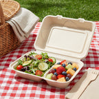 Compostable take-out container with salad and fruit on a picnic blanket