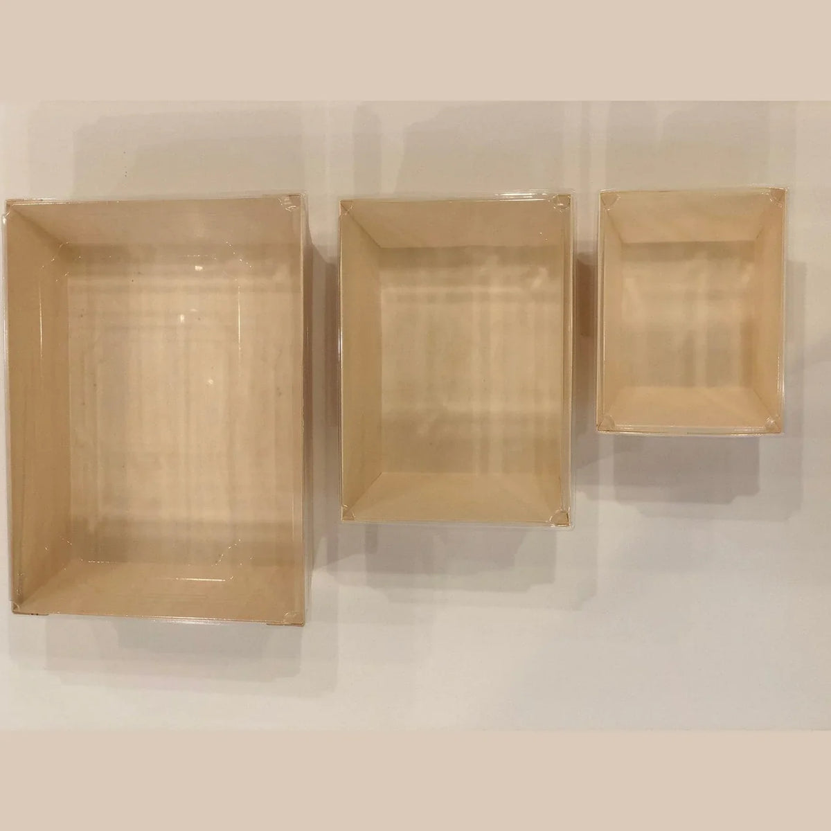 Three disposable trays of different sizes on a white background