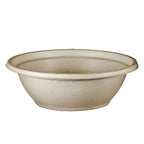 Compostable fiber bowl on a white background