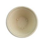 Top view of a compostable natural fiber bowl on a white background