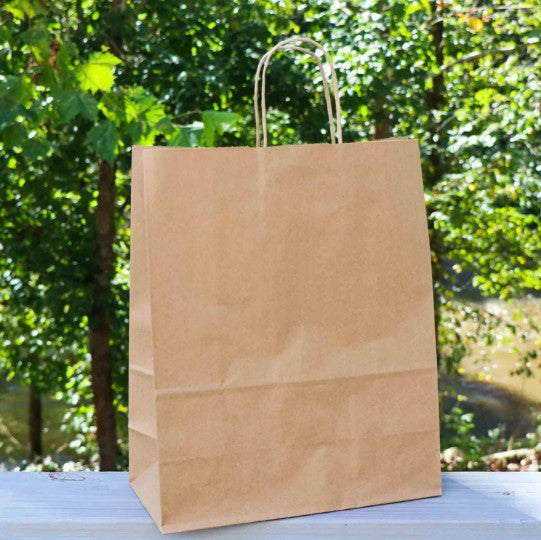 10.2" x 5.1" x 12.8" Kraft Paper Shopping Bags w/ Handles | Missy