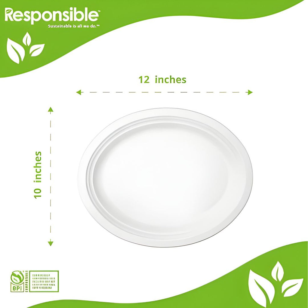 White disposable plate with dimensions on a green and white background.