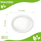 White disposable plate with dimensions on a green and white background.