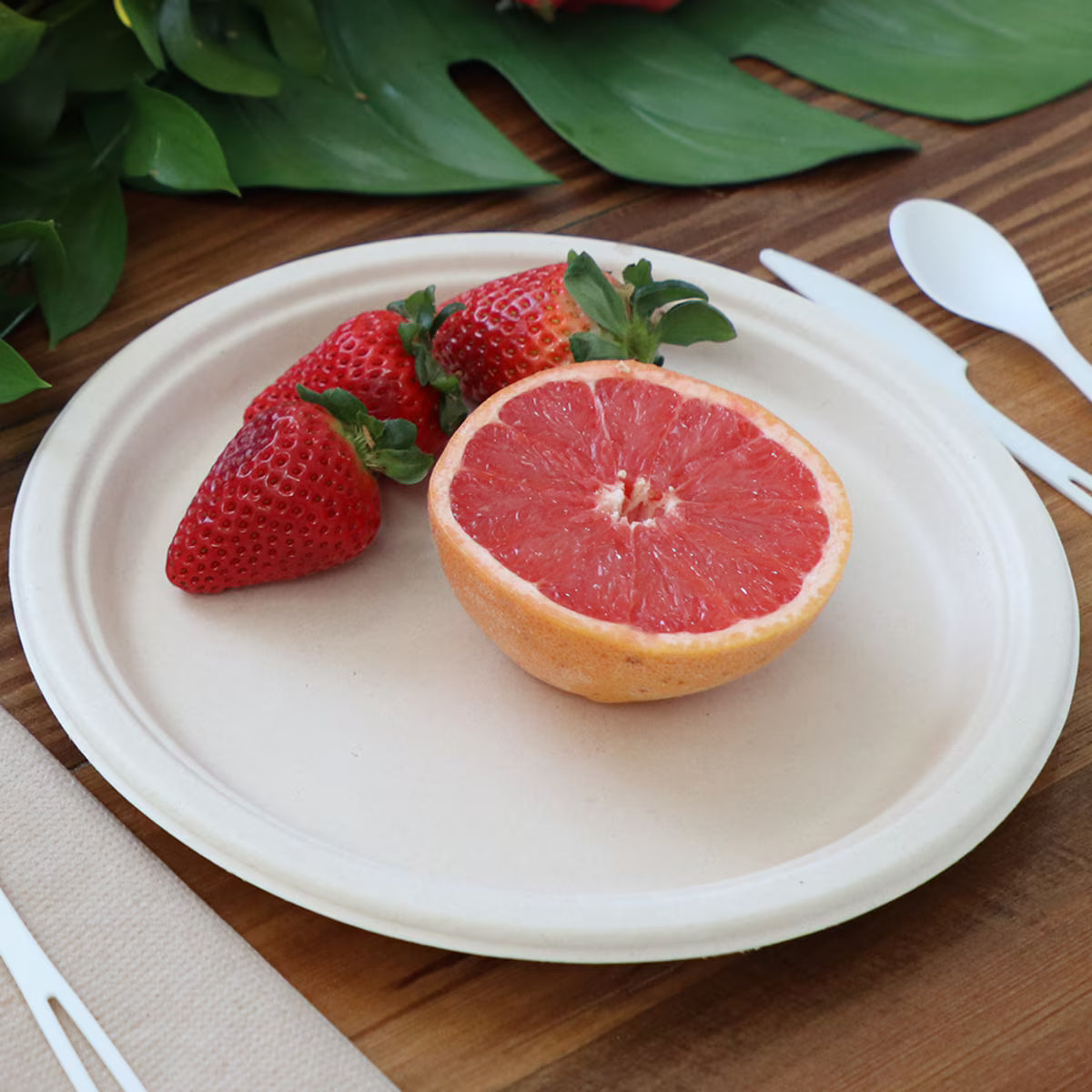 10" Classic Round Plate | Natural Plant Fiber | Compostable