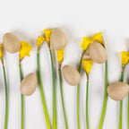 Paper Maché Eggs | Set of 6 Eggs
