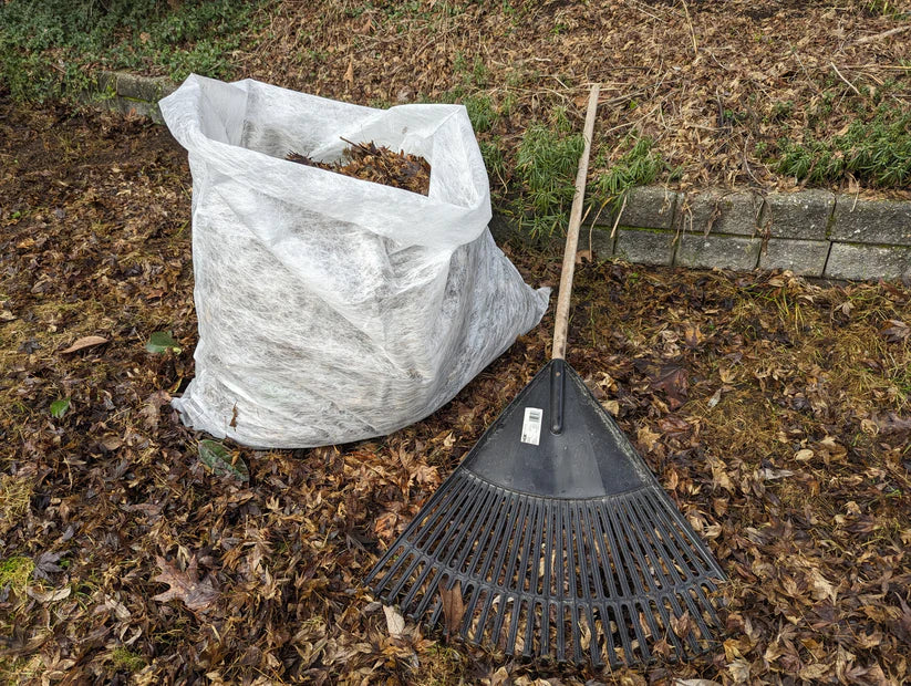 39" x 36" Compostable Lawn and Leaf Bag | 50+ lbs