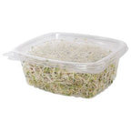12 oz Rectangular Container | Clear PLA | Hinged Lid