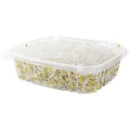 24 oz Rectangular Container | Clear PLA | Hinged Lid