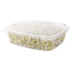 24 oz Rectangular Container | Clear PLA | Hinged Lid