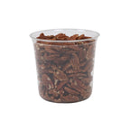 24 oz Deli Container | Recycled Plastic | Made in USA