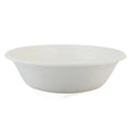 Compostable white bowl on a white background