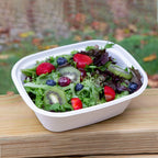 48 oz Takeout Box | Rectangular | Compostable