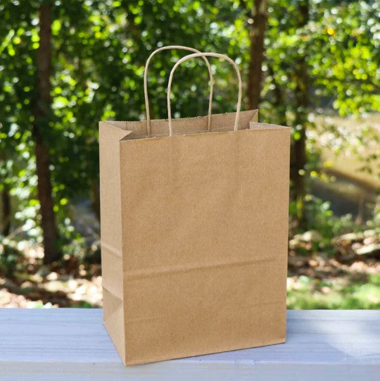 8.1"x10.6"x4.5" Kraft Paper Shopping Bags w/ Handles | Tempo