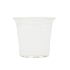 Compostable clear cup on a white background
