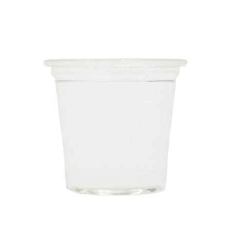 Compostable clear cup on a white background