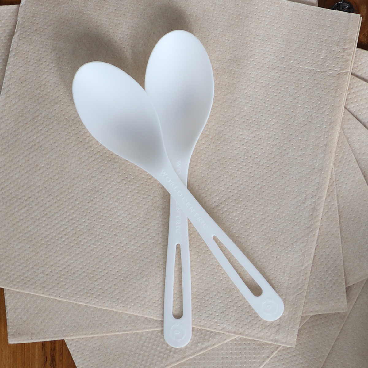 6" Compostable Spoon | Bulk Pack