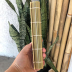 A hand holding a rolled bamboo sushi mat in front of a potted snake plant and standing bamboo poles.