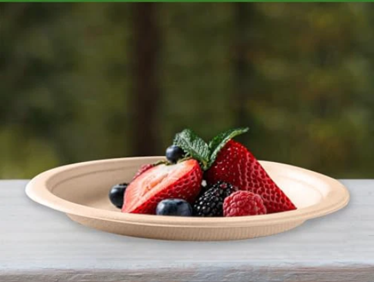 6" Classic Round Plate | Sugarcane Fiber