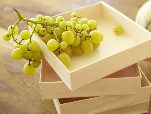 6" x 6" Collapsible Food Tray | Small