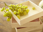 6" x 6" Collapsible Food Tray | Small