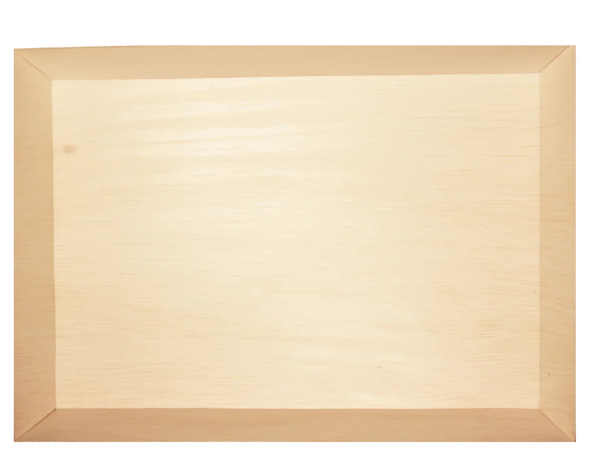 11" x 15" x 2" Rectangular Tray | Fixed Side | Large
