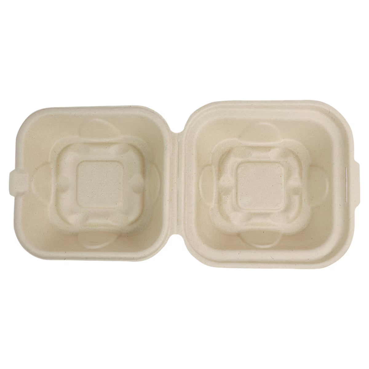 Compostable takeout container on a white background