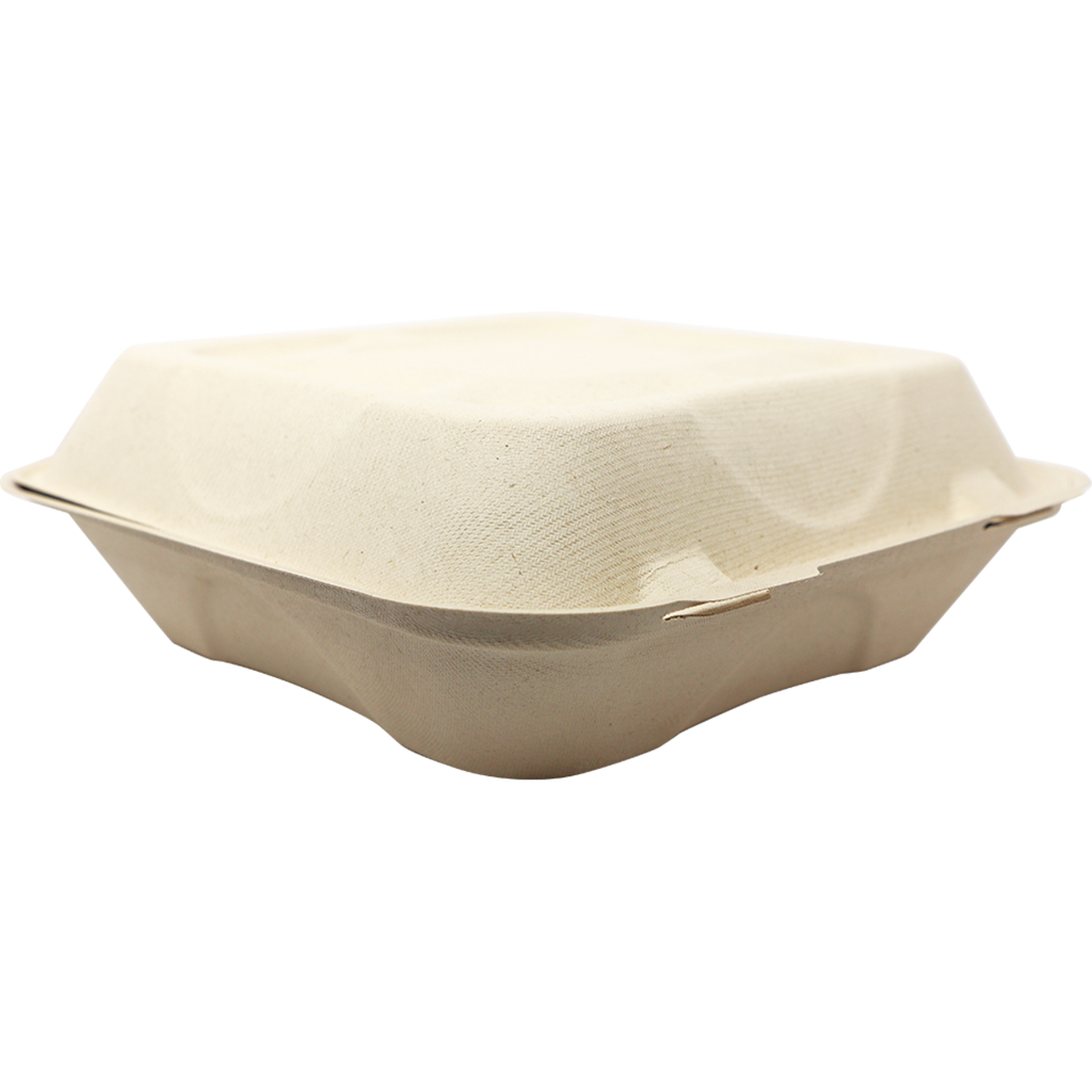 Disposable food clamshell on a white background