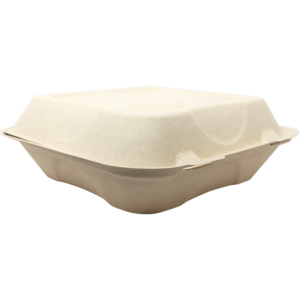 Disposable food clamshell on a white background