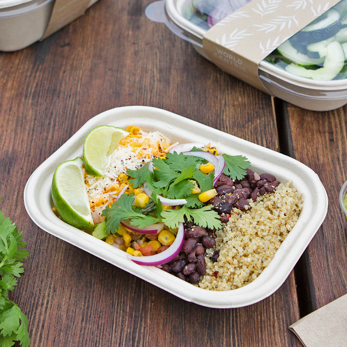 17 oz Fiber To Go Box Container | 8" x 6" x 1.5" | Compostable