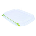 Lid for 8" x 6" Fiber Tray | Compostable | Clear PLA | Green Stripe
