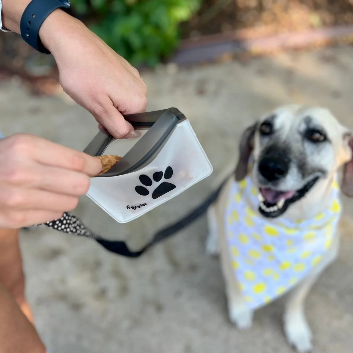 Person using a pet waste bag dispenser with a dog wearing a bandana in the background.