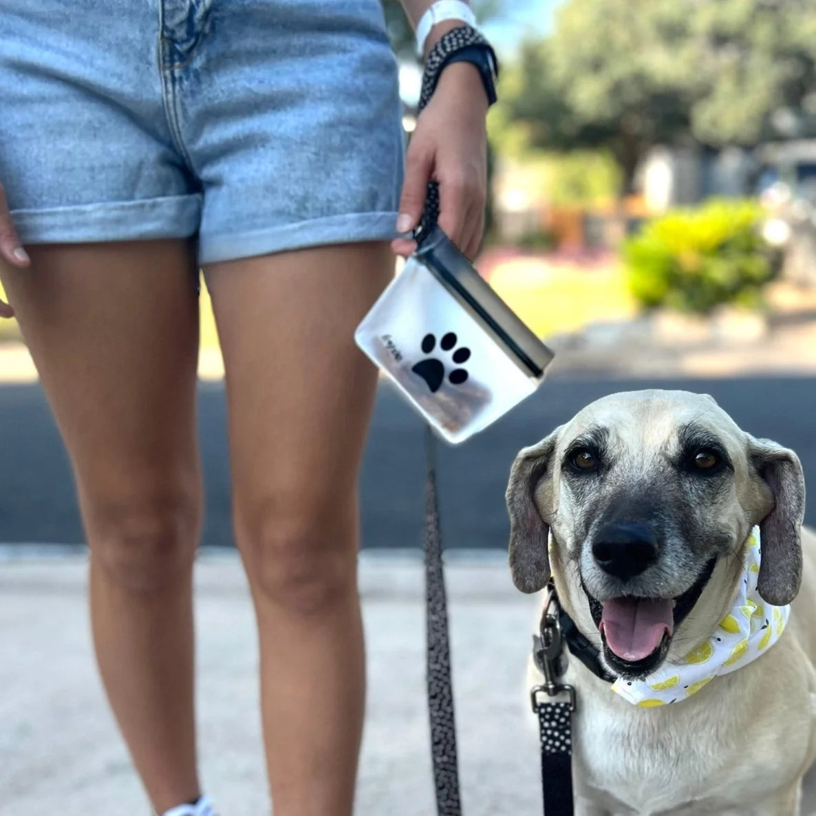 Dog on a leash with a person holding a phone case with a paw print design, outdoors.